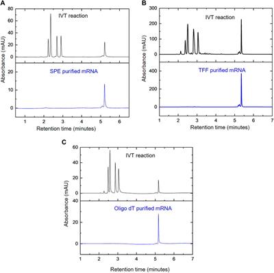 Anion exchange HPLC monitoring of mRNA in vitro transcription reactions to support mRNA manufacturing process development